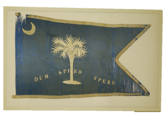 Artifact flag image