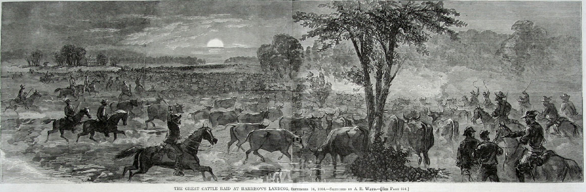 The Great Cattle Raid at Harrisons Landing painting