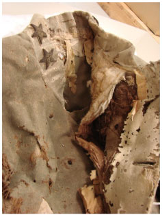 General James Chesnut's Frock Coat collar detail image